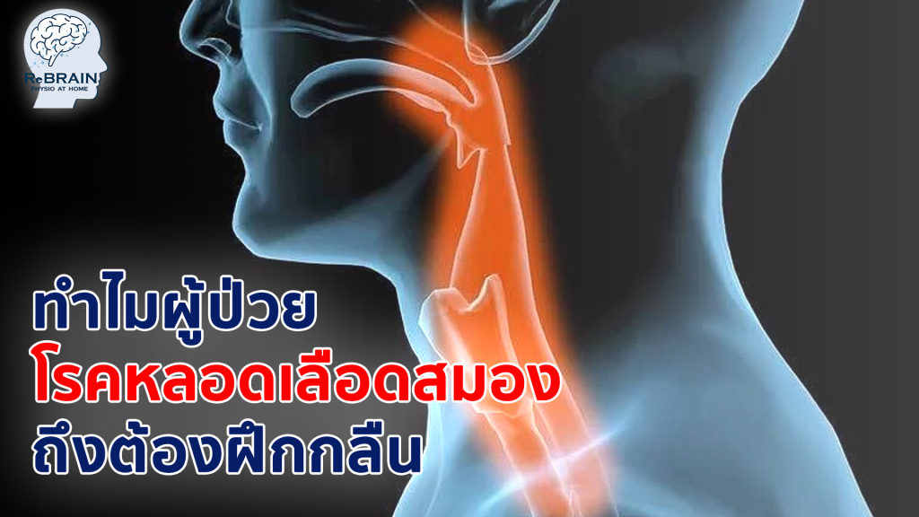 ฝึกกลืน