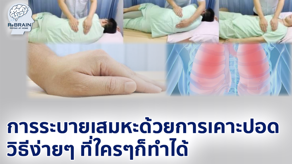 เคาะปอด