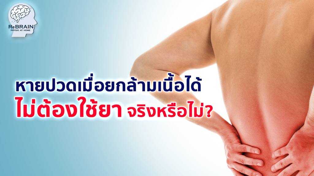 ปวดเมื่อย