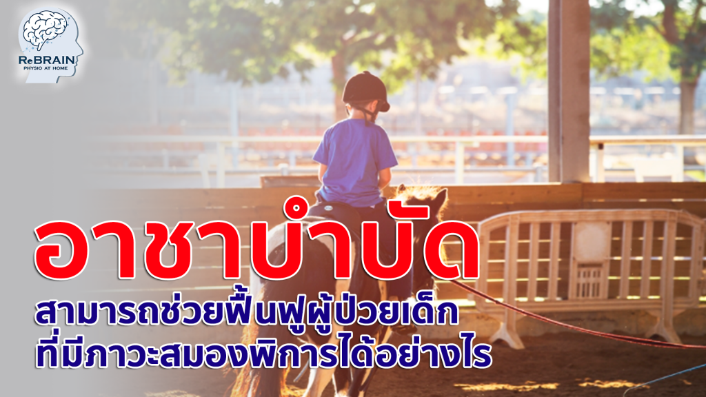 อาชาบำบัด