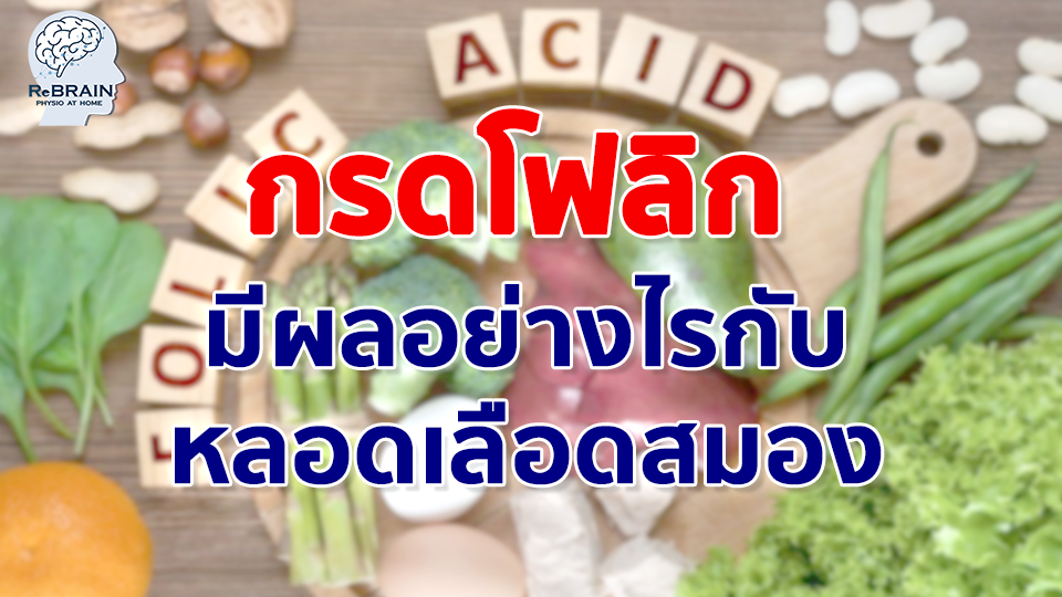 กรดโฟลิก
