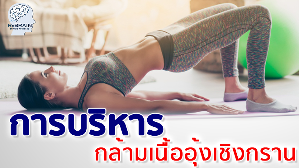 กล้ามเนื้ออุ้งเชิงกราน