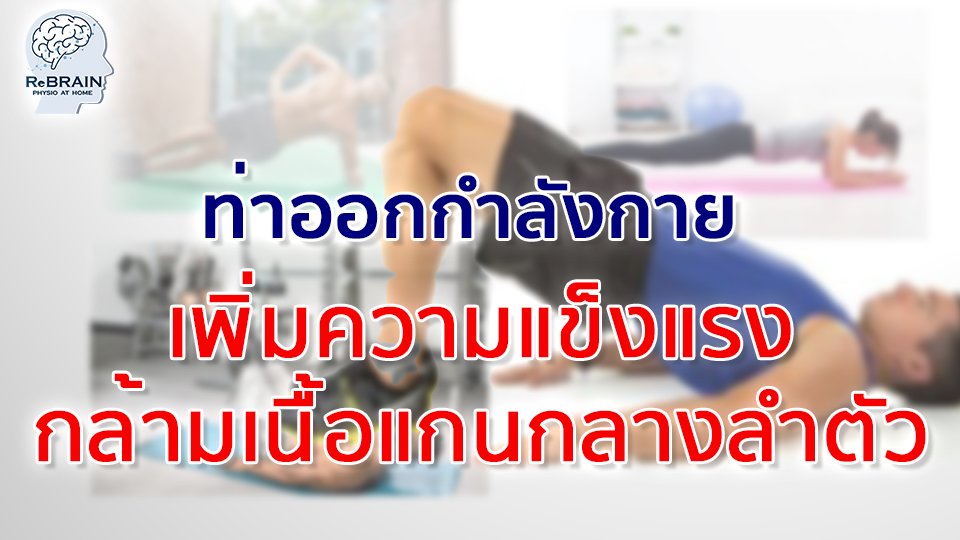 กล้ามเนื้อแกนกลางลำตัว