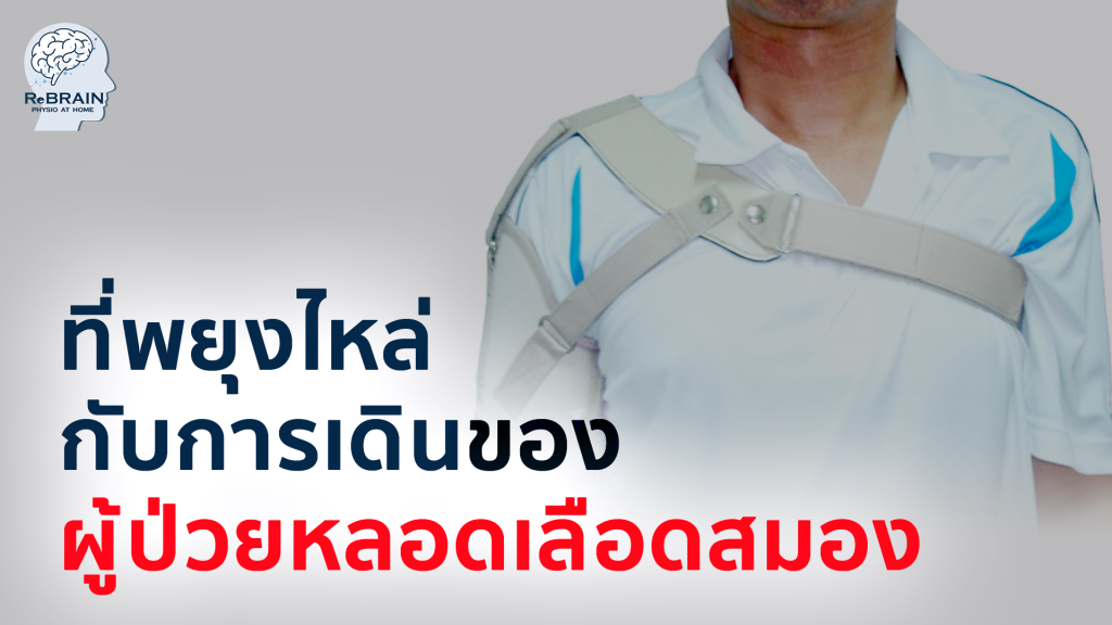 ที่พยุงไหล่