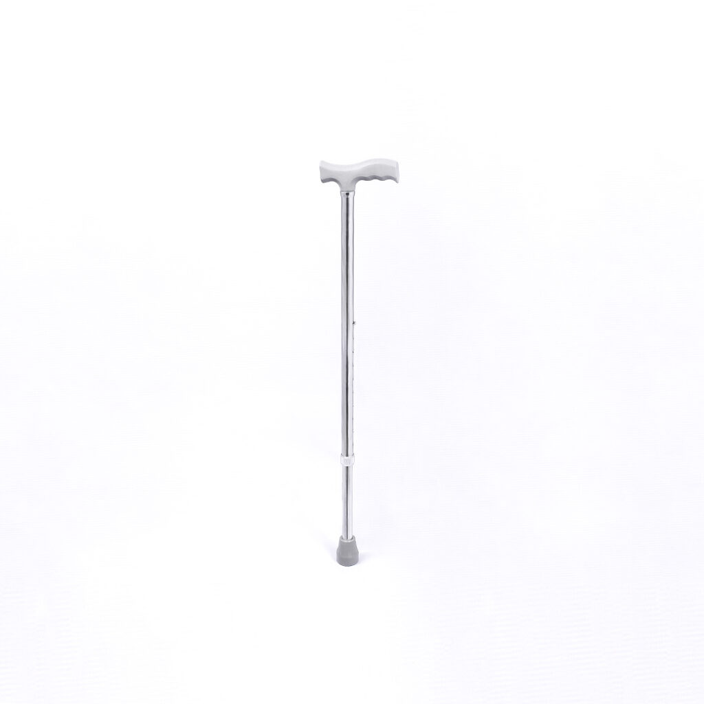 Single Cane- ReBRAIN กายภาพบำบัด