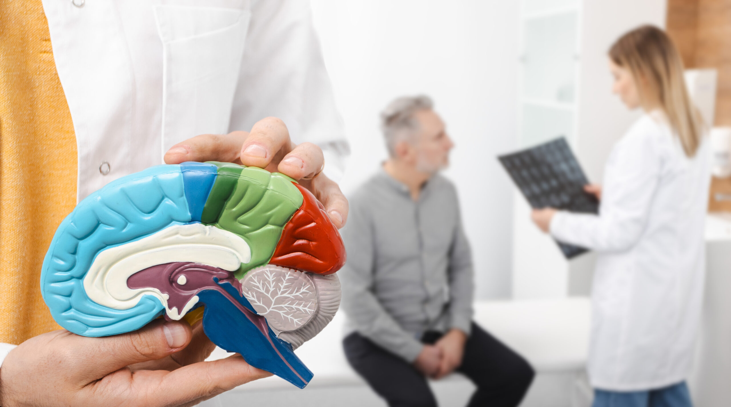 การฟื้นฟูโรค Stroke